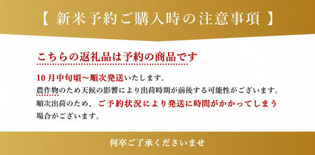 【先行予約】 令和6年産 ひのひかり 玄米30kg（30kg×1袋） | 熊本県 熊本 くまもと 和水町 なごみ ひのひかり 玄米 米 30kg 大容量 単一原料米