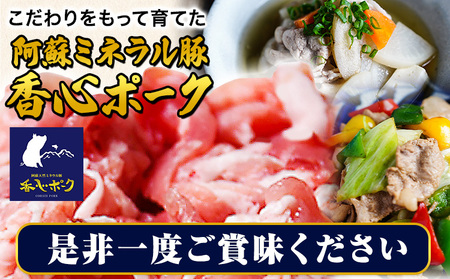 香心ポーク 香心ポーク切り落とし 約4kg 有限会社コーシン《30日以内に出荷予定(土日祝除く)》 熊本 大津町 切り落とし 豚肉 豚