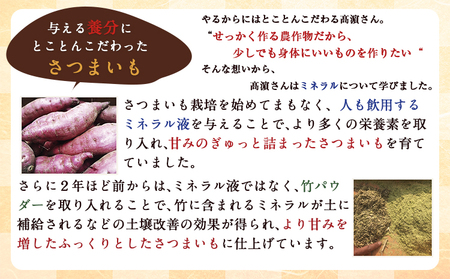 熊本県 大津町産 タカハマ観光農園 の 紅はるか 約3kg 大中小ミックス《1月上旬-4月末頃出荷》 さつまいも 芋 スイートポテト 干し芋にも