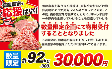 数量限定★生産者応援★ 豚肉 小分け バラエティセット9.2kg+300g うまかポーク《30日以内に出荷予定(土日祝除く)》