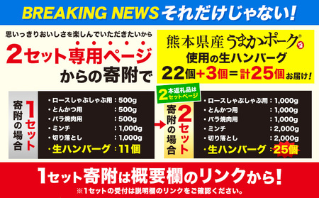 数量限定★生産者応援★ 豚肉 小分け バラエティセット9.2kg+300g うまかポーク《30日以内に出荷予定(土日祝除く)》