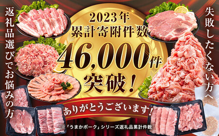 数量限定★生産者応援★ 豚肉 小分け バラエティセット9.2kg+300g うまかポーク《30日以内に出荷予定(土日祝除く)》