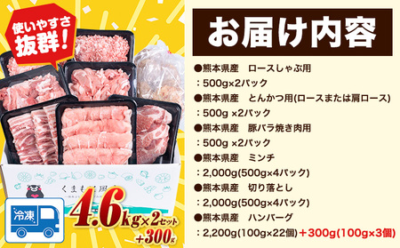 数量限定★生産者応援★ 豚肉 小分け バラエティセット9.2kg+300g うまかポーク《30日以内に出荷予定(土日祝除く)》