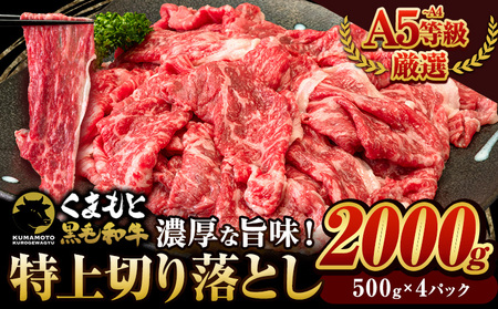 くまもと黒毛和牛 ウデ・モモ 特上 切り落とし 2000g 牛肉 冷凍 《30日以内に出荷予定(土日祝除く)》冷凍庫 個別 取分け 小分け 個包装 モモ スライス 肉 お肉 しゃぶしゃぶ すき焼き A5 A4