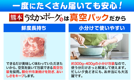 【12ヶ月定期便】 豚肉 うまかポーク 切り落とし&ミンチ ハーフセット 7.2kg 《申し込み翌月から発送》