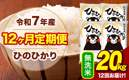 令和7年産 【12ヶ月定期便】 無洗米 米 ひのひかり 20kg《お申込み翌月から出荷》熊本県 大津町 国産 熊本県産 無洗米 送料無料 ヒノヒカリ こめ お米