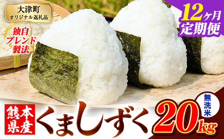 【12ヶ月定期便】無洗米 熊本県産 ブレンド米 くましずく 20kg 熊本県産 ふるさと納税 無洗米 米 こめ ふるさとのうぜい コメ お米 おこめ《お申込み翌月から出荷》