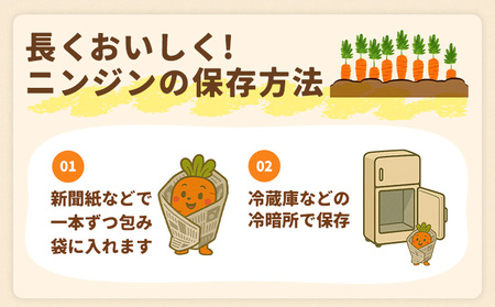 人参 訳あり にんじん ニンジン キャロット 2kg《12月中旬-3月上旬頃出荷》熊本県 大津町 人参 送料無料 にんじん キャロット 熊本県産 にんじん