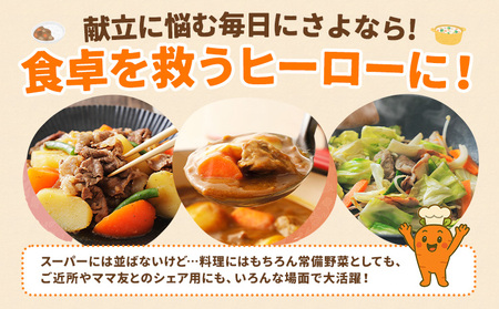 人参 訳あり にんじん ニンジン キャロット 2kg《12月中旬-3月上旬頃出荷》熊本県 大津町 人参 送料無料 にんじん キャロット 熊本県産 にんじん
