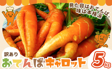 人参 訳あり にんじん ニンジン キャロット 5kg《12月中旬-3月上旬頃出荷》熊本県 大津町 人参 送料無料 にんじん キャロット 熊本県産 にんじん