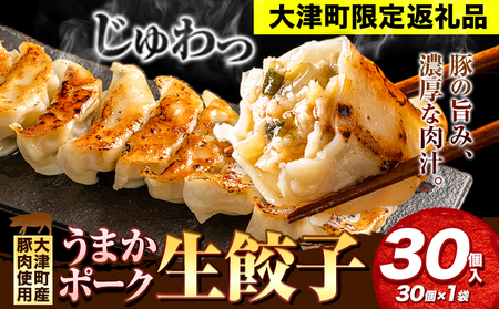 餃子 うまかポーク生餃子 30個 タレ付き 大津町限定返礼品 冷凍餃子 ギョウザ《30日以内に出荷予定(土日祝除く)》大津町産豚肉使用 九州産キャベツ使用（大津町産含む）皮モチモチ 肉汁溢れる ぎょうざ （30個×1袋）