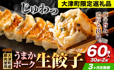 餃子 うまかポーク生餃子 60個 【3ヶ月定期便】タレ付き 大津町限定返礼品 冷凍餃子 ギョウザ《お申込み月の翌月から発送開始》大津町産豚肉使用 九州産キャベツ使用（大津町産含む）皮モチモチ 肉汁溢れる ぎょうざ （30個×2袋）