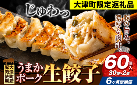 餃子 うまかポーク生餃子 60個 【6ヶ月定期便】タレ付き 大津町限定返礼品 冷凍餃子 ギョウザ《お申込み月の翌月から発送開始》大津町産豚肉使用 九州産キャベツ使用（大津町産含む）皮モチモチ 肉汁溢れる ぎょうざ （30個×2袋）