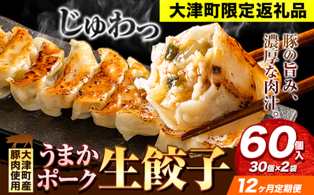 餃子 うまかポーク生餃子 60個 【12ヶ月定期便】タレ付き 大津町限定返礼品 冷凍餃子 ギョウザ《お申込み月の翌月から発送開始》大津町産豚肉使用 九州産キャベツ使用（大津町産含む）皮モチモチ 肉汁溢れる ぎょうざ （30個×2袋）