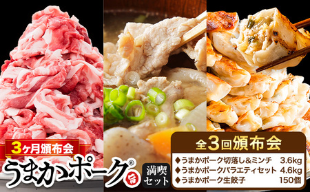 豚肉 うまかポーク 満喫セット 全3回 定期便 うまかポーク 切り落とし ミンチ バラエティセット 生餃子《お申込み月の翌月から発送開始》熊本県 大津町 豚肉 ミンチ 干し芋 ハンバーグ 肉 頒布会 全3回