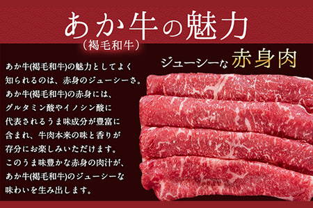 あか牛(褐毛和牛) ローススライス (リブまたはサーロイン) 500g 熊本県産 肉 和牛 牛肉 赤牛 あかうし リブロース サーロイン 冷凍 《30日以内に出荷予定(土日祝除く)》