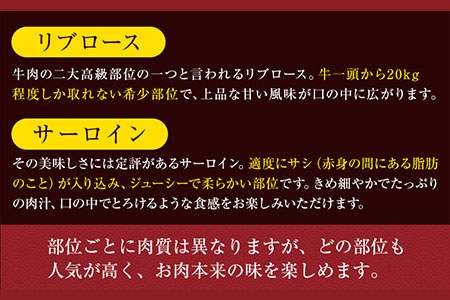 あか牛(褐毛和牛) ローススライス (リブまたはサーロイン) 500g 熊本県産 肉 和牛 牛肉 赤牛 あかうし リブロース サーロイン 冷凍 《30日以内に出荷予定(土日祝除く)》