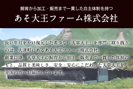 天草大王　ハーフセット《60日以内に出荷予定(土日祝除く)》約750g【幻の地鶏】もも・むね・ささみ各1枚 熊本県産 あそ大王ファーム株式会社