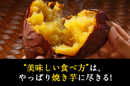 熊本県大津町産 中無田農園のシルクスイート 約5kg 大中小サイズ不揃い 2月中旬 3月中旬頃より順次出荷 さつまいも 芋 秋の味覚 熊本県大津町 ふるさと納税サイト ふるなび