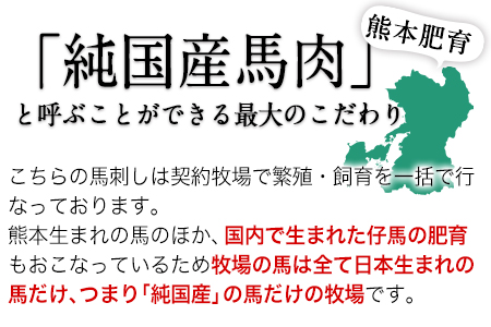 手作りハン馬ーグ 100g×10個 馬肉100%配合！【熊本肥育】ハンバーグ たっぷり 冷凍 お中元 肉 お手軽 お取り寄せ《30日以内に出荷予定(土日祝除く)》