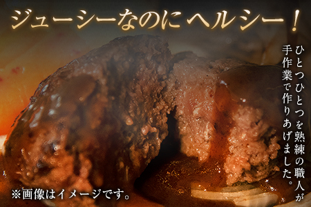 手作りハン馬ーグ 100g×10個 馬肉100%配合！【熊本肥育】ハンバーグ たっぷり 冷凍 お中元 肉 お手軽 お取り寄せ《30日以内に出荷予定(土日祝除く)》