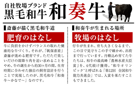 厳選 くまもと黒毛和牛 しゃぶしゃぶ用 サーロイン 300g 《30日以内に出荷予定(土日祝除く)》熊本県 大津町 和牛焼肉LIEBE くまもと黒毛和牛 サーロイン ロース しゃぶしゃぶ 冷蔵 リーベ