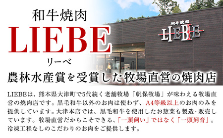 A5 A4 ランク 厳選 くまもと黒毛和牛 シャトーブリアンステーキ 1枚 ( 180g )《30日以内に出荷予定(土日祝除く)》熊本県 大津町 和牛焼肉LIEBE シャトーブリアン ステーキ 冷蔵 リーベ