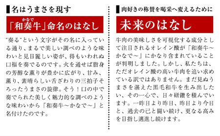 A5 A4 ランク 厳選 くまもと黒毛和牛 シャトーブリアンステーキ 1枚 ( 180g )《30日以内に出荷予定(土日祝除く)》熊本県 大津町 和牛焼肉LIEBE シャトーブリアン ステーキ 冷蔵 リーベ