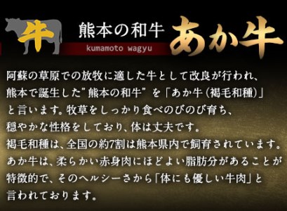 あか牛 上赤身ステーキ用 1kg (200g×5) 有限会社幸路《60日以内に出荷予定(土日祝除く)》 あかうし 赤牛 冷凍 小分けパック