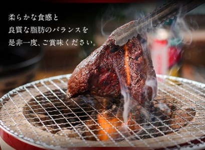 あか牛 上赤身ステーキ用 1kg (200g×5) 有限会社幸路《60日以内に出荷予定(土日祝除く)》 あかうし 赤牛 冷凍 小分けパック