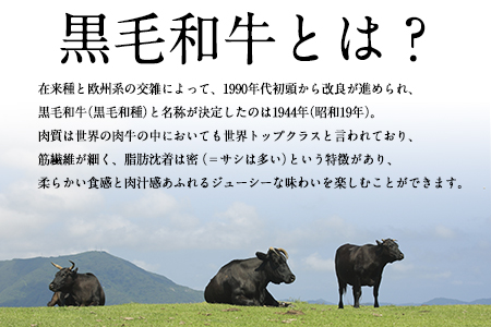 黒毛和牛ホルモン800g(200g×4袋) ブランド牛 有限会社トップルーフ《60日以内に出荷予定(土日祝除く)》