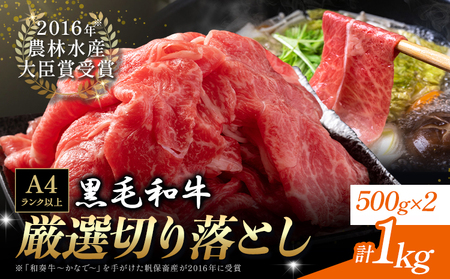 厳選 くまもと黒毛和牛 切り落とし 1kg (1パック 500g) 《30日以内に出荷予定(土日祝除く)》和牛焼肉LIEBE くまもと 黒毛和牛
