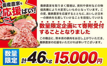 大容量！ 熊本 うまか ポーク 6種 バラエティ セット たっぷり！ 4.5kg 《30日以内に出荷予定(土日祝除く)》 しゃぶしゃぶ 小分け 切り 落とし 熊本県産 冷凍 豚肉 ロース バラ モモ ヒレ 4500g 切り落とし ミンチ スライス ブタ 豚肉 九州