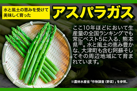 アスパラ 約1.8kg(Lサイズ) 《8月下旬-9月上旬頃出荷》 野菜 やさい アスパラガス 熊本県 1kg以上