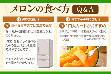 熊本県 フェスタメロン 2玉 2L~3L《2024年4月中旬-5月末頃出荷》熊本県