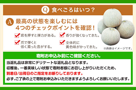 熊本県 フェスタメロン 2玉 2L~3L《2024年4月中旬-5月末頃出荷》熊本県