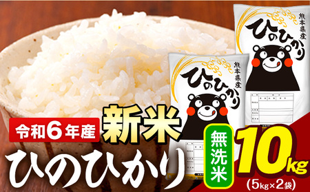 令和5年産 ひのひかり 無洗米 10kg 《7-14営業日以内に出荷予定(土日祝除く)》  5kg×2袋 熊本県産 米 精米 ひの 大津町