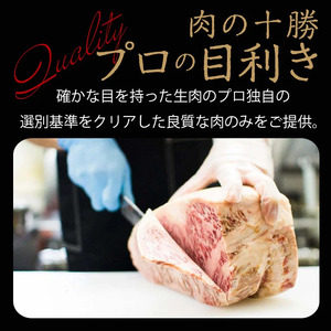 北海道産黒毛和牛＆豚肉で作ったハンバーグ 10個 2月発送 牛肉 加工品 惣菜 おかず F21P-1062