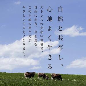 【十勝オーガニック放牧牛(グラスフェッドビーフ)ステーキ2枚セット】(400g) 焼肉 バーベキュー BBQ お肉 トカプチ農場 F21P-1142