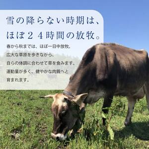 【十勝オーガニック放牧牛(グラスフェッドビーフ)サーロインステーキ3枚セット】(600g) 焼肉 バーベキュー BBQ お肉 トカプチ農場 F21P-1143