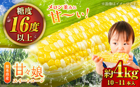 2026年6月上旬より順次発送 スイートコーン 甘々娘約4kg10~11本BHCJ001 スイートコーン