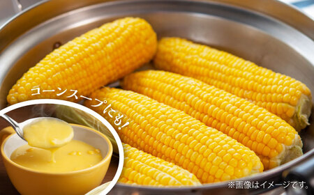 2026年6月上旬より順次発送 スイートコーン 甘々娘約4kg10~11本BHCJ001 スイートコーン