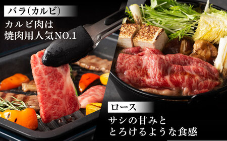 【全12回定期便】「フジチクオリジナル」ふじ馬刺しと藤彩牛の贅沢食べ比べセット 3906 馬刺し BHAD056