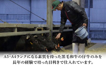 【全3回定期便】フジチク 藤彩牛 ロース 焼肉用 約400g 焼肉 ロース肉[BHAD093]