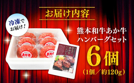 【年内発送は12月18日ご入金分まで！】熊本和牛あか牛 ハンバーグ セット 約120g×6個 ハンバーグ BHAS001