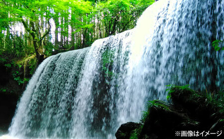 【全6回定期便】い・ろ・は・す 天然水 540ml×24本(1ケース) いろはす いろはす BHAO004