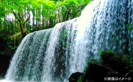 全6回定期便 い・ろ・は・す 天然水 2L×6本(1ケース) いろはす いろはす BHAO007