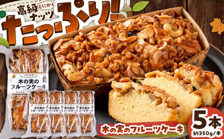 木の実のフルーツケーキ 5個セット フルーツケーキ BHAK012
