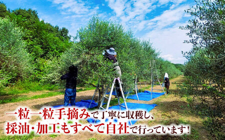 【限定数量】EXV オリーブオイル ピクアル種 130mL×1 オリーブオイル[BHBL002]