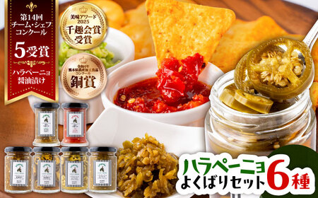 ハラペーニョ よくばり セット 6種 ハラペーニョ BHBL003